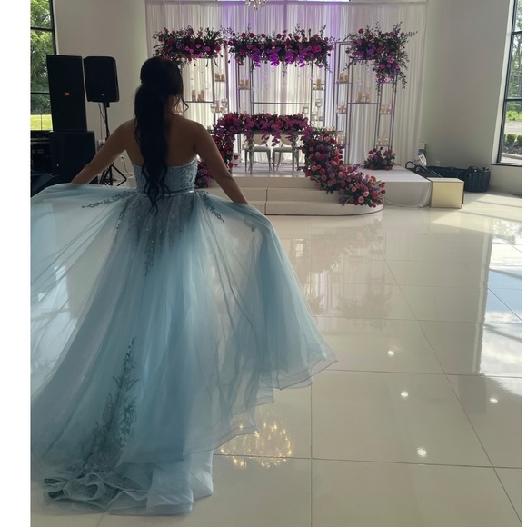 Baby Blue Cinderella dress - Picture 2 of 4